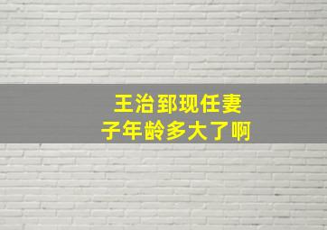 王治郅现任妻子年龄多大了啊