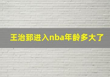 王治郅进入nba年龄多大了