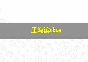 王海滨cba