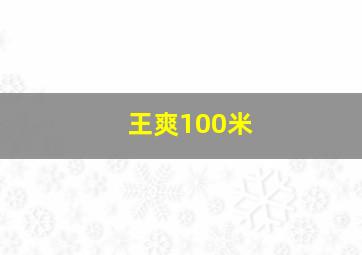 王爽100米