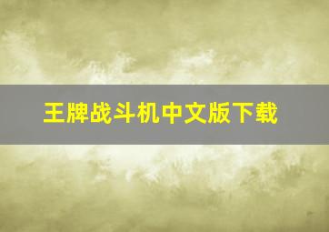 王牌战斗机中文版下载