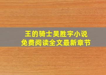 王的骑士吴胜宇小说免费阅读全文最新章节