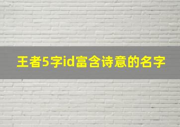 王者5字id富含诗意的名字