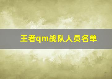 王者qm战队人员名单