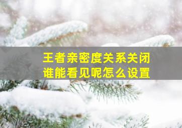 王者亲密度关系关闭谁能看见呢怎么设置