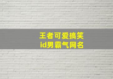 王者可爱搞笑id男霸气网名