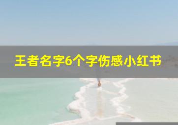 王者名字6个字伤感小红书