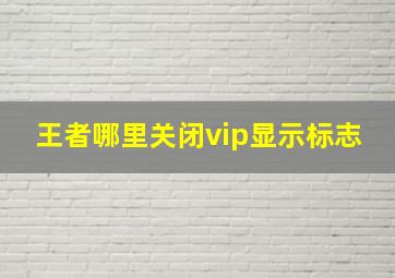 王者哪里关闭vip显示标志