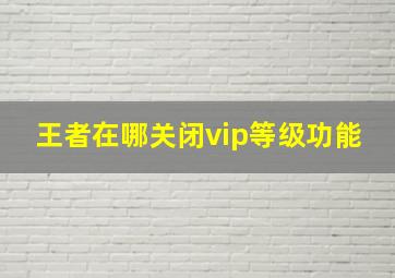 王者在哪关闭vip等级功能