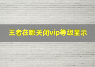 王者在哪关闭vip等级显示