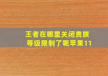 王者在哪里关闭贵族等级限制了呢苹果11