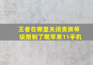 王者在哪里关闭贵族等级限制了呢苹果11手机