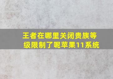 王者在哪里关闭贵族等级限制了呢苹果11系统