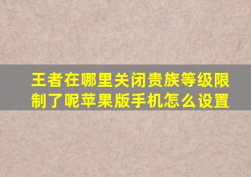 王者在哪里关闭贵族等级限制了呢苹果版手机怎么设置