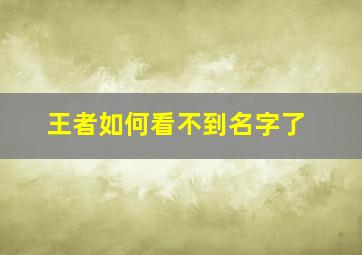 王者如何看不到名字了