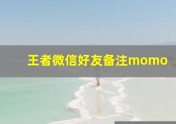 王者微信好友备注momo