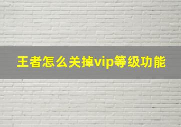 王者怎么关掉vip等级功能