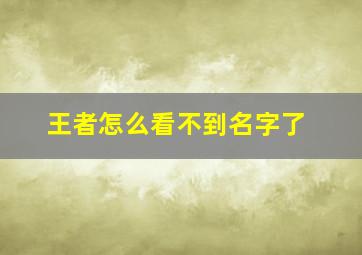 王者怎么看不到名字了