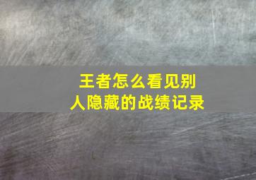 王者怎么看见别人隐藏的战绩记录