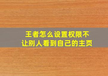 王者怎么设置权限不让别人看到自己的主页