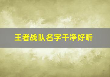 王者战队名字干净好听