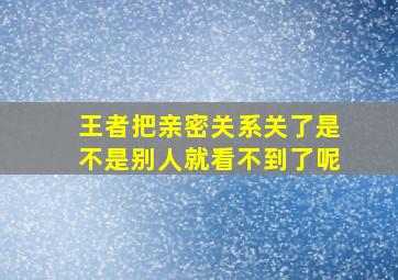 王者把亲密关系关了是不是别人就看不到了呢