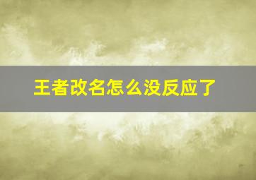 王者改名怎么没反应了