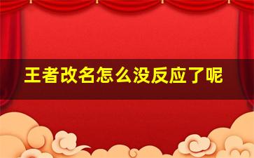 王者改名怎么没反应了呢