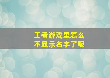 王者游戏里怎么不显示名字了呢