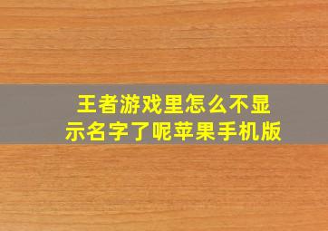 王者游戏里怎么不显示名字了呢苹果手机版