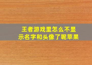 王者游戏里怎么不显示名字和头像了呢苹果