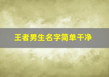 王者男生名字简单干净