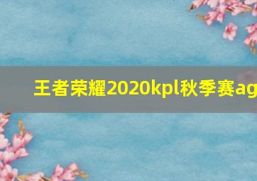 王者荣耀2020kpl秋季赛ag