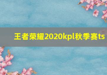 王者荣耀2020kpl秋季赛ts