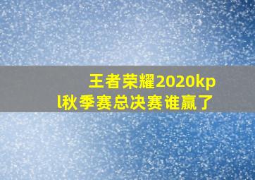 王者荣耀2020kpl秋季赛总决赛谁赢了