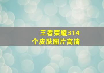 王者荣耀314个皮肤图片高清