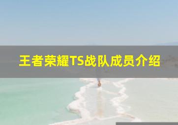 王者荣耀TS战队成员介绍