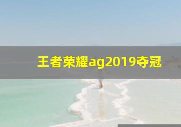 王者荣耀ag2019夺冠