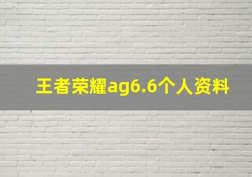 王者荣耀ag6.6个人资料