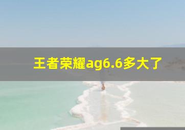 王者荣耀ag6.6多大了