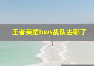 王者荣耀bws战队去哪了