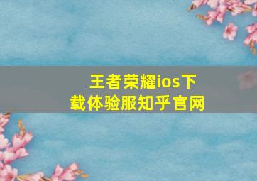 王者荣耀ios下载体验服知乎官网