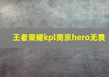 王者荣耀kpl南京hero无畏