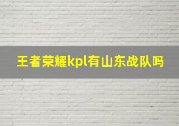 王者荣耀kpl有山东战队吗