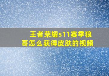 王者荣耀s11赛季狼哥怎么获得皮肤的视频