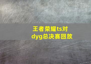 王者荣耀ts对dyg总决赛回放