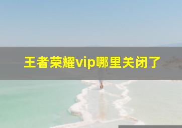 王者荣耀vip哪里关闭了