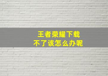 王者荣耀下载不了该怎么办呢