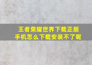 王者荣耀世界下载正版手机怎么下载安装不了呢