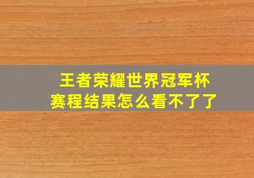 王者荣耀世界冠军杯赛程结果怎么看不了了